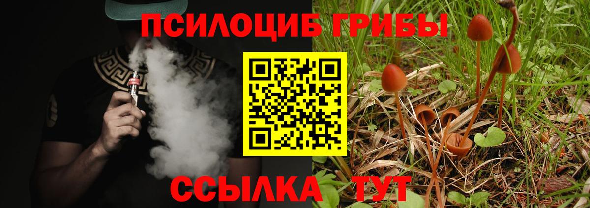 купить наркотик  Вход с VPN  Кимовск  Псилоцибиновые грибы ЛСД 