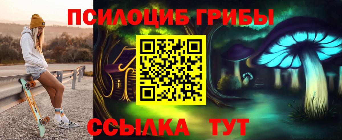 Псилоцибиновые грибы Psilocybine cubensis Кимовск